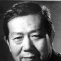 成人a视频