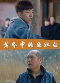 贾蕾贾芳 乡村 小说